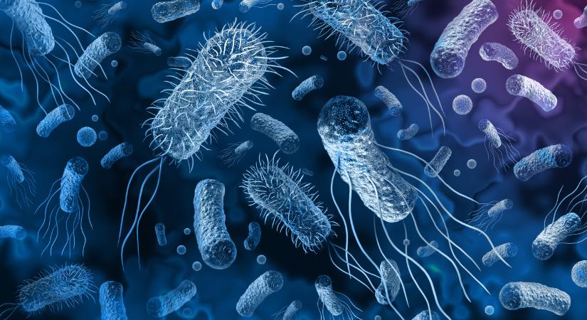 WHO: vezető halálok lehet harminc éven belül az antibiotikum-rezisztencia