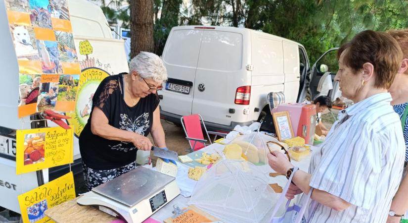 A pusztító hőség ellenére is megtartották a kézműves vásárt (videóval)