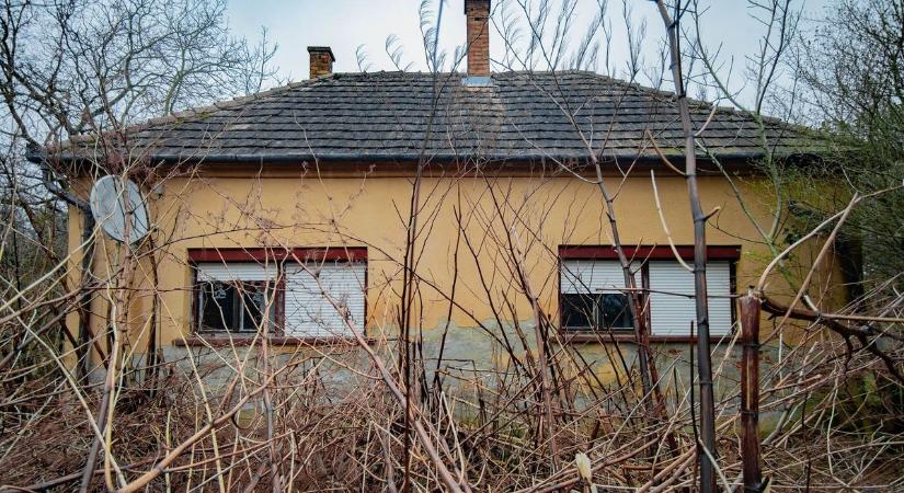 Beckham a falon, menyasszonyi kép a földön – Torokszorító emlékek egy elhagyott somogyi családi házban