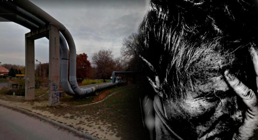Titokzatos eset Tatabányán: ismeretlen férfi holttestére bukkantak a Jubileum Park mellett