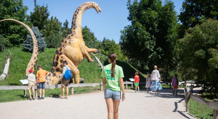 Állati jó nyári munka – ezért szeretik a diákok a Veszprémi Állatkertet ( galéria)