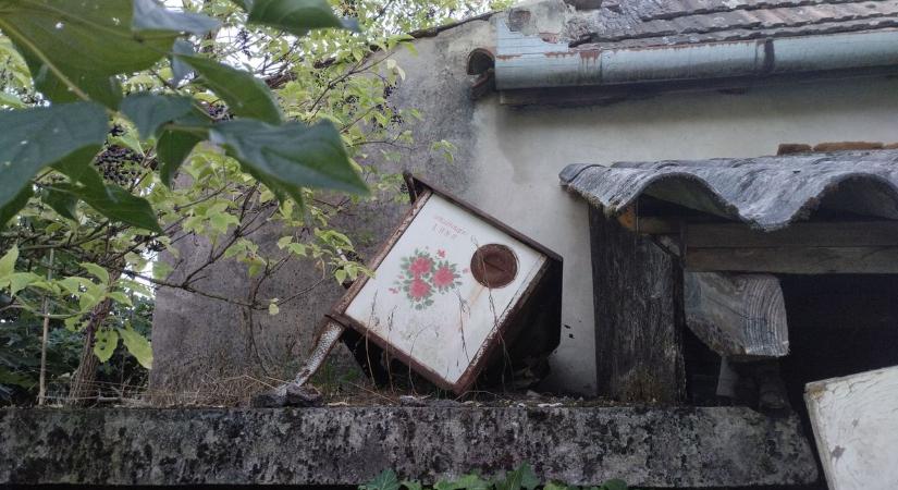 Elhagyatott szőlőspince Zalában - megdöbbentő fotókon az elmúlás (képgaléria)
