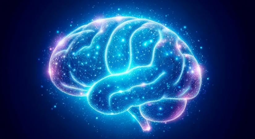 Tanulmány: ha ezt a 3 színészt szereted, magas az IQ-d