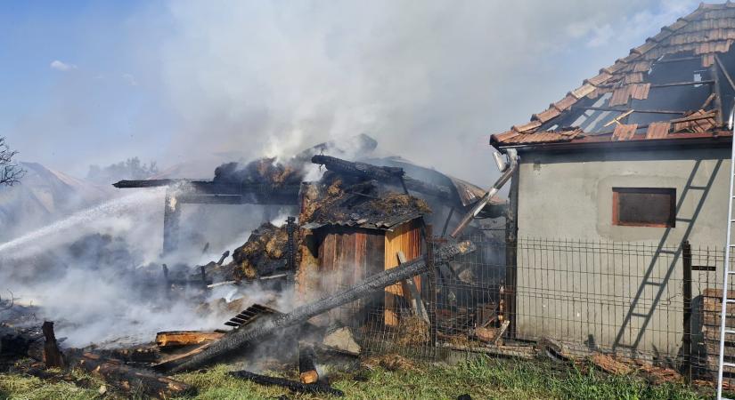 Leégett egy istálló - több tucat állat pusztult el