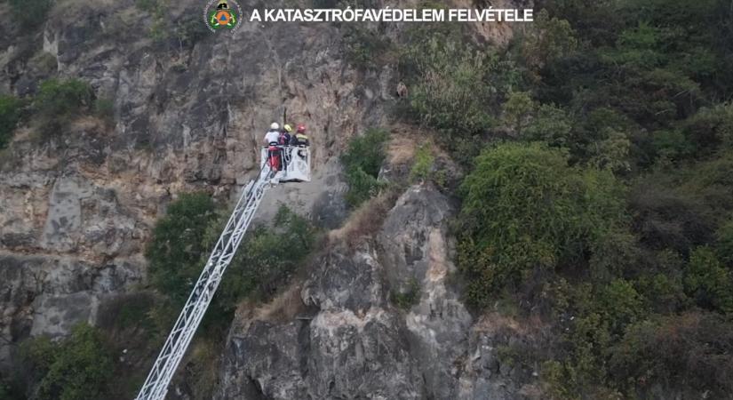 Videón, hogyan tudták megmenteni a túrázót, aki a Gellért-hegyről egy szikára zuhant
