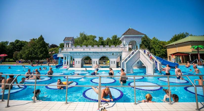 Egy pillanatra mindenki megállt az egri strandon – te se fogod elhinni, mi úszkált a medencében!