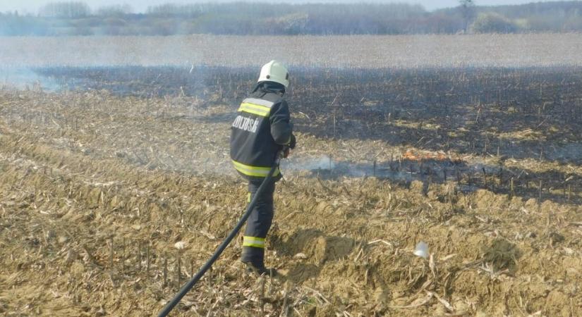 Húsz hektáron ég a tarló Lázár János kastélyának közelében