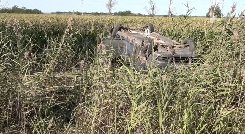 Egy kiugró őz okozott majdnem tragédiát Hajdú-Biharban - videóval