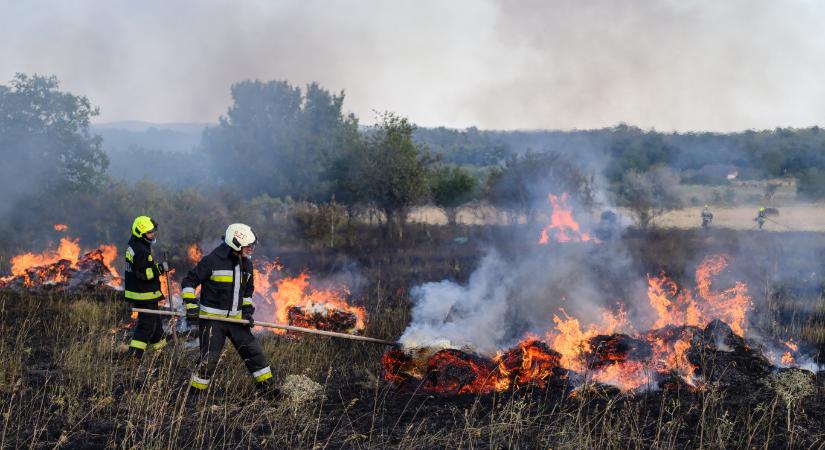 Húsz hektáron ég a tarló Hódmezővásárhely mellett