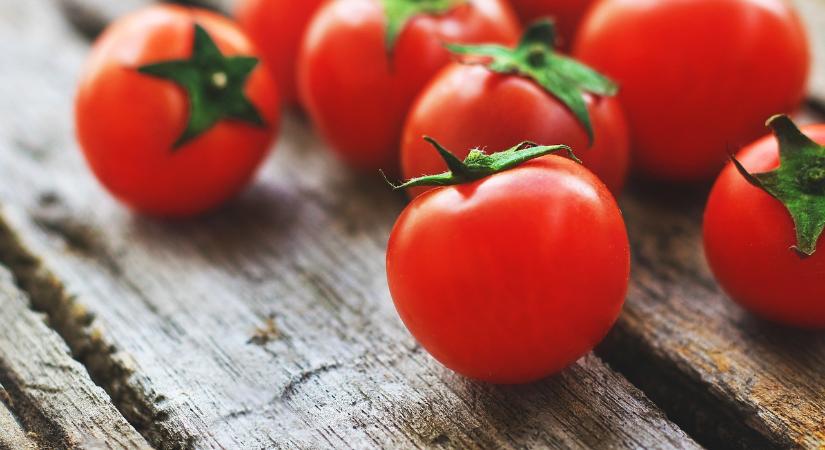 Paradicsom, a sokoldalú alapanyag – Nébih javaslatok a biztonságos tartósításhoz
