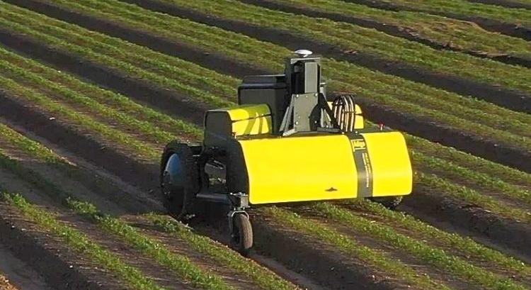 Kilter AX‑1: autonóm robot a célzott gyomirtásban
