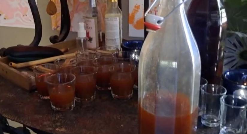 11 liter ayahuascát és több üveg varangymérget foglaltak le a rendőrök egy spanyol birtokon, ahol spirituális elvonulásokat tartottak