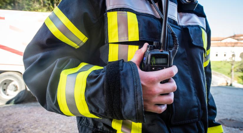 Döbbenetes mentés a családi ház udvarán: kerti hinta ejtette foglyul a halálra rémült vadállatot