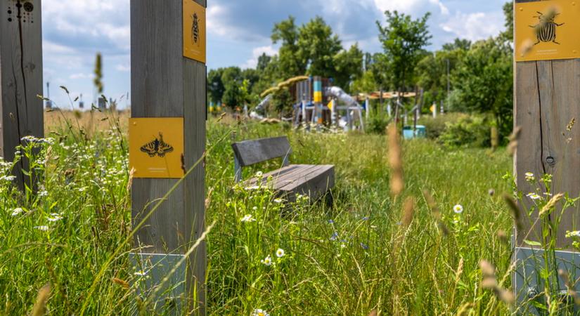 Tájépítészeti Nívódíj pályázat 2025