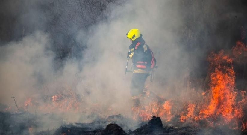 Lángok martaléka lett az andornaktályai ház - fotókon a pusztítás