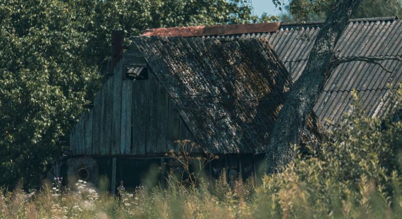Gyanútlanul leástak a házuk alá, borzasztó amit ott találtak