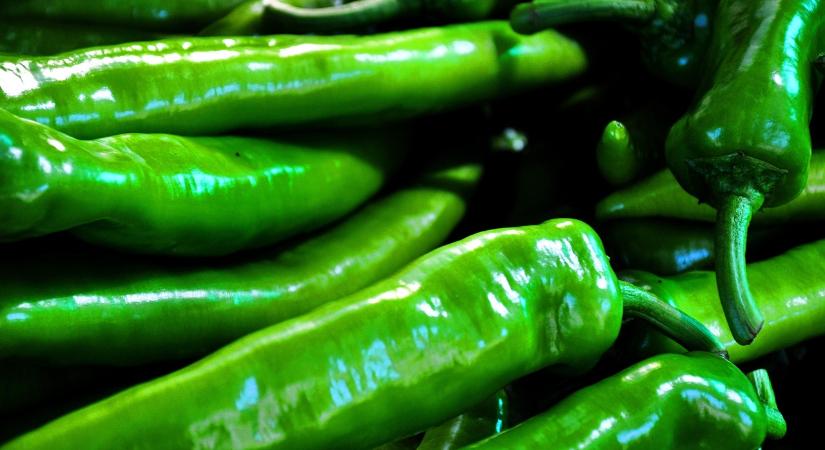 Idén már 14. alkalommal tartják meg a magyar Paprika Napját