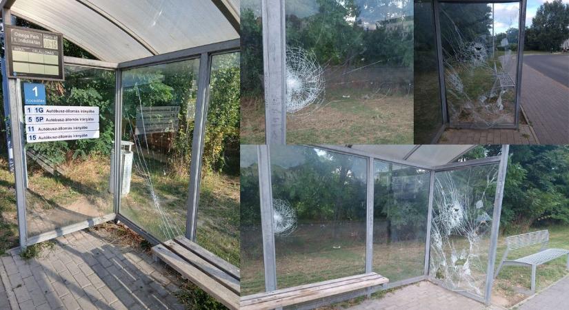 Fotókon a rémtett: már a buszmegállók is retteghetnek Tatabányán
