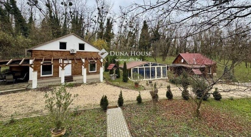Csodás vendégházat árulnak a bakonyi erdő rejtekében - fotók