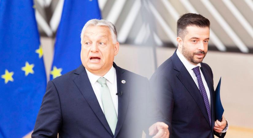 Hatalmas csapásra készül a Fidesz, riadóztatták a Digitális Polgári Köröket