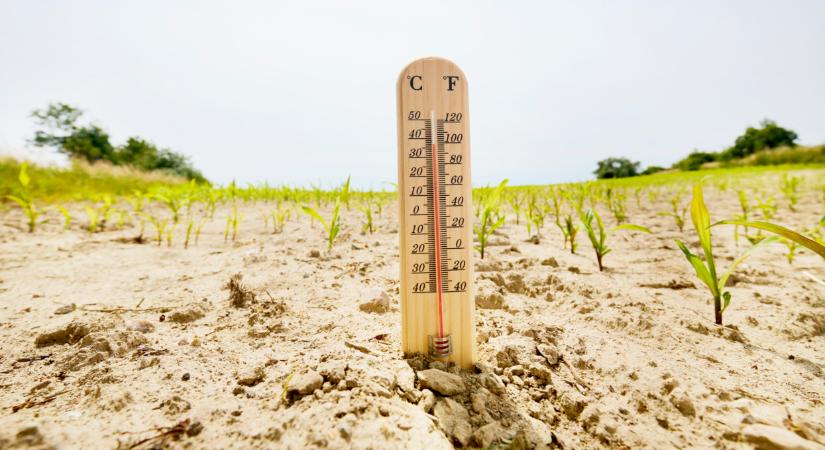 Kiderült, mennyi eső jön a következő 8 napban: mutatjuk, mi vár ránk