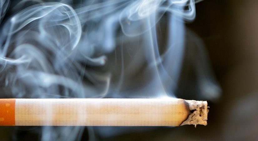 Pár hónap alatt kétszer bukott meg hamis cigik gyártásához szükséges cucokkal egy testvérpár