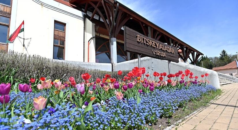 Műemléki védettséget kapott a Bitskey uszoda
