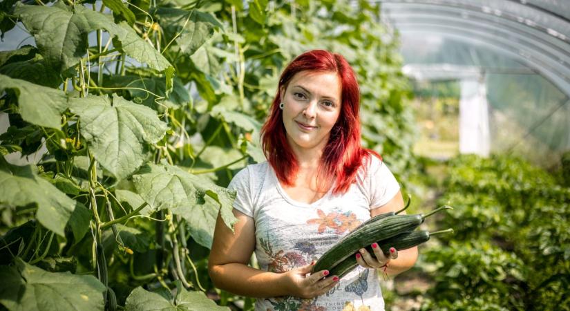 Újratervezett vidék: hogyan hasznosultak az uniós források az agrár- és vidékfejlesztésben?