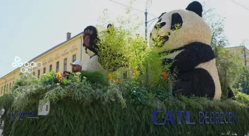Idén is virágkocsival nyűgözné le a debrecenieket a CATL a virágkarneválon
