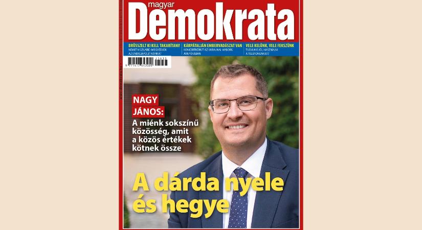 A dárda nyele és hegye