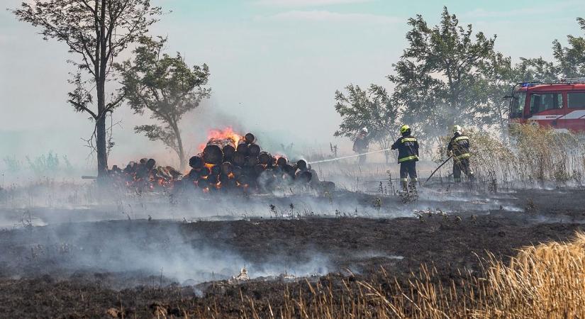 Erdőtűz pusztít Baján: több hektár fenyőerdő ég