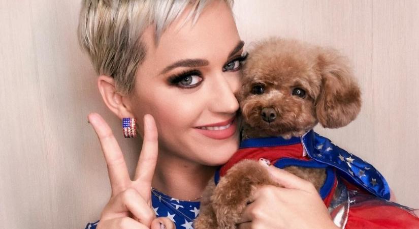 Katy Perry bejelentette, hogy a kutyájával együtt vegán lesz