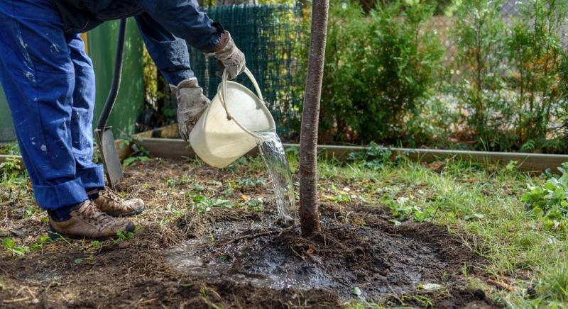 Rekordnövekedésről számolt be a Circle a második negyedévben