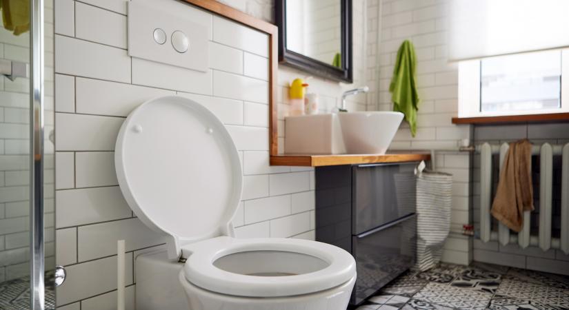Így spórolj vizet a WC-nél