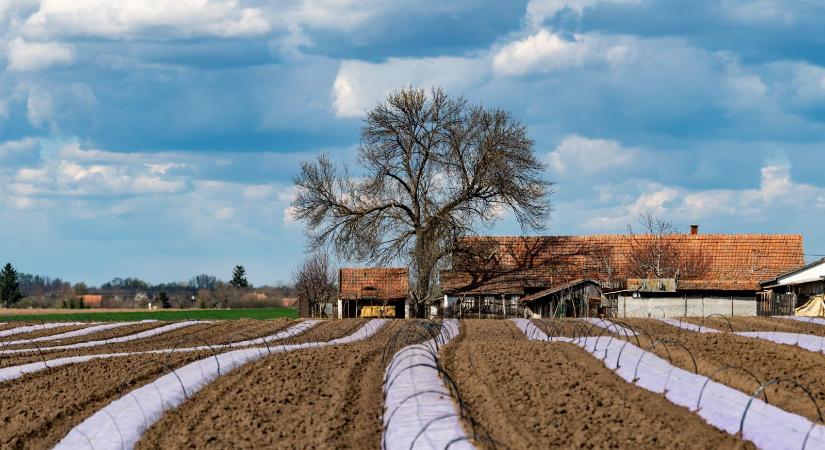 Váratlanul sok gazdát érinthet a közös EU-s agrárpolitika megváltoztatása, már szó van tüntetésekről is