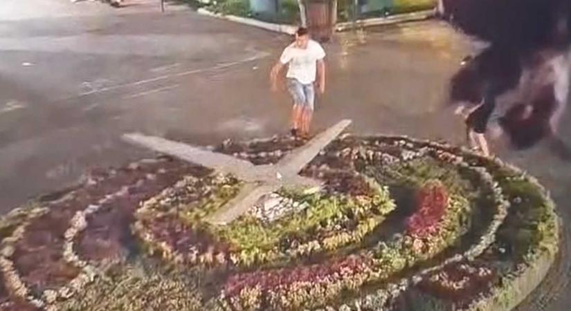 Sokba került a vagánykodás a marosvásárhelyi virágóránál (VIDEÓ)
