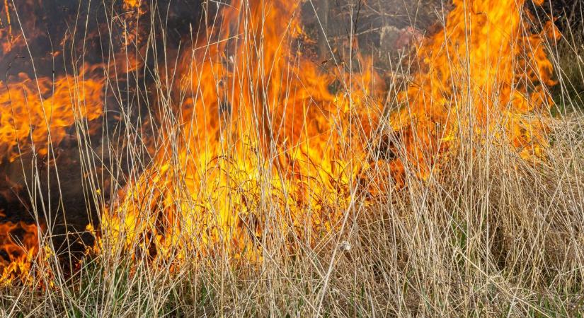 Hat vízsugárral oltották a tűzoltók a Szeged határában tomboló lángokat