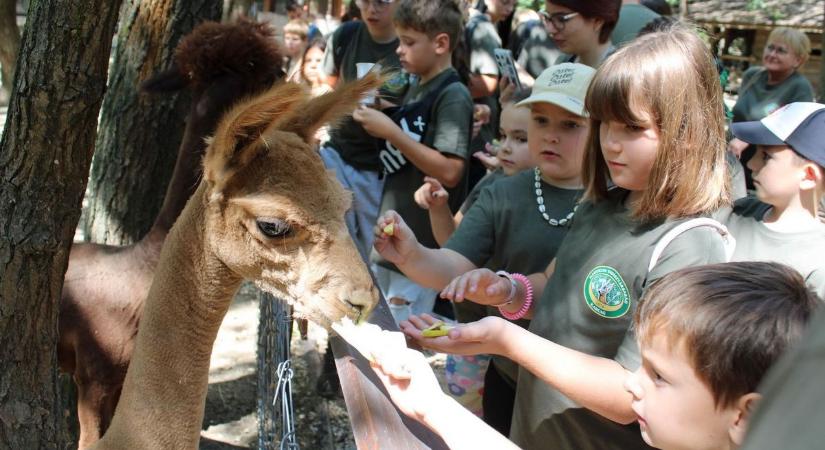 Többen is azt mondták, életük legszebb napját töltötték el a táborban – galériával