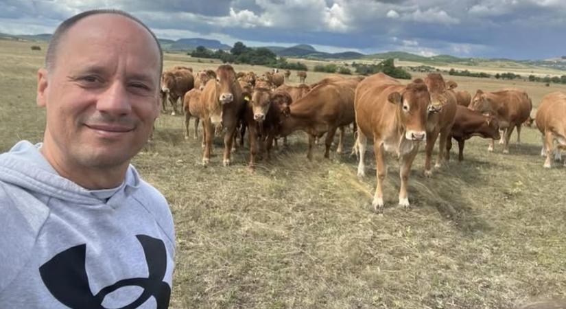 Kiderült: ezért kerülhet válságba a magyar állattenyésztés!