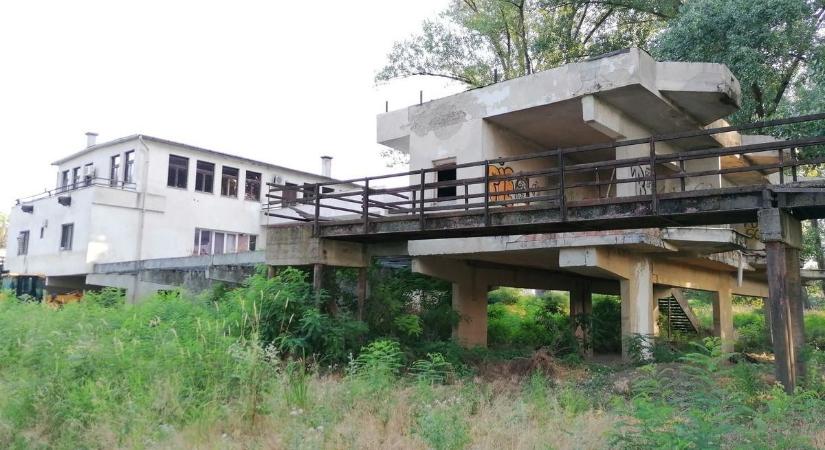 Különleges bejelentést tett az Erste Bank, felfedeztünk egy roskadozó épületet és aranyos kisállatokban gyönyörködtünk