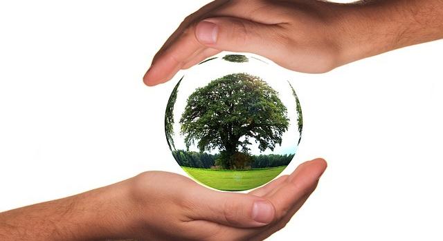 AM: új projekt indul a szemléletformálás érdekében, egy lépéssel közelebb a természethez