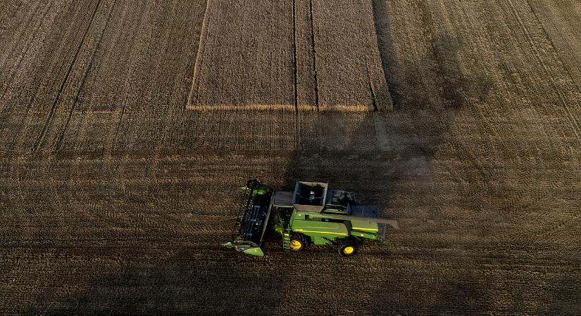 Félsivataggá válik a Duna–Tisza köze, sorra adják fel a gazdák