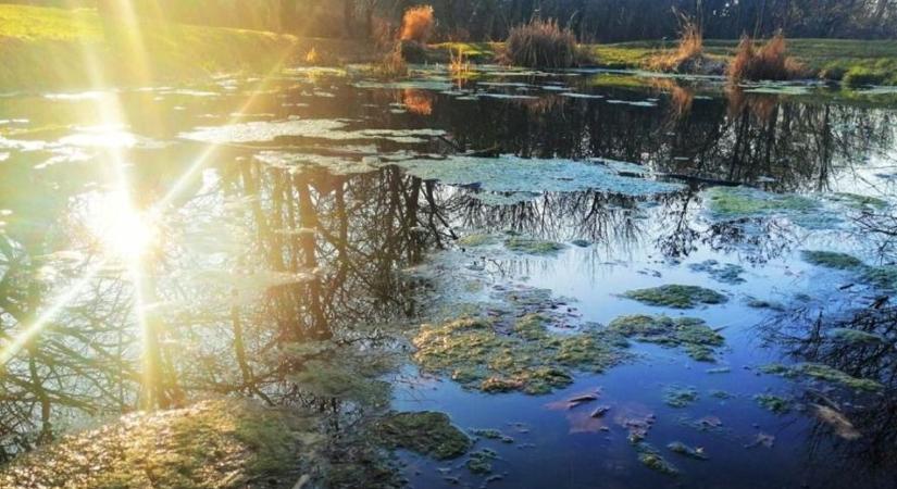 Épül az ország legújabb gyógyvizes tava – lehetne Veszprémben is?