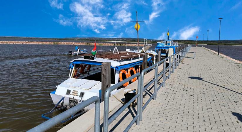 51 gyerekbarát program a Velencei-tónál – nem csak nyárra!
