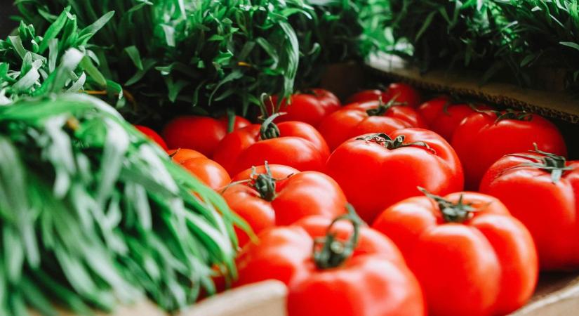 Zöldségakciók augusztus közepén – hol a legolcsóbb a paradicsom, paprika és a burgonya?