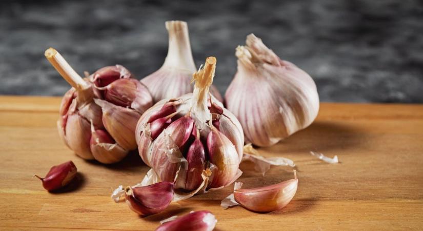 Veszélyben a fokhagyma jövője