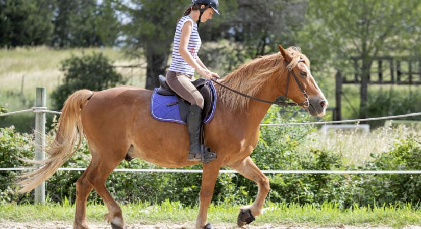 Lovastáborokat, fröccsteraszokat is ellenőrzött a hatóság