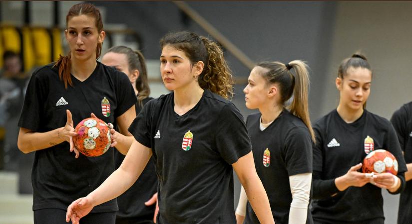 Női kézilabda: két felkészülési mérkőzést játszanak a svédekkel Füzi-Tóviziék