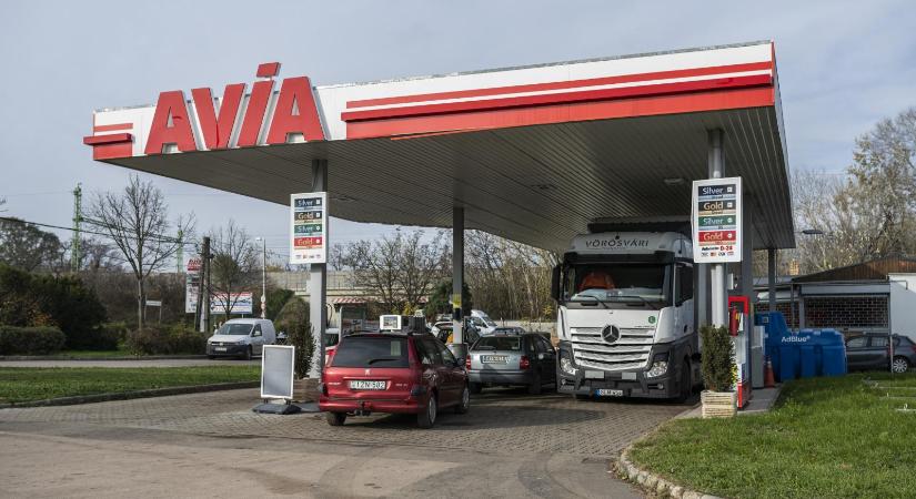 Talpra állnak a kis kutak, 2021 óta először ismét átlépte a 30 százalékot a piaci részesedésük