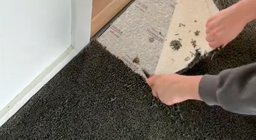3 perce kapták meg az új lakásuk kulcsát: a szőnyeg alatt várt rájuk a meglepetés - Videó